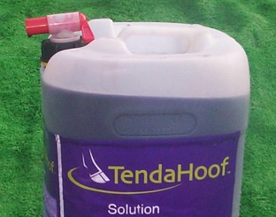 TendaHoof Solution photo