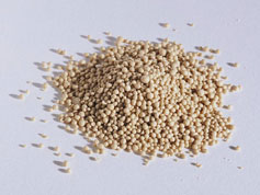 RuMeN FX image