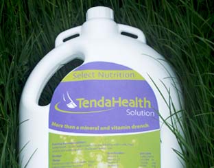 TendaHealth photo