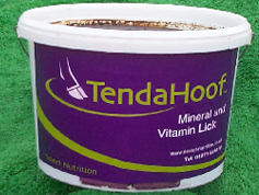TendaHoof image